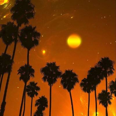 2023管家婆资料正版大全澳门app下载