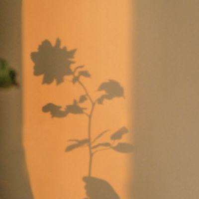 银河国际官网app下载