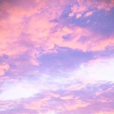 半岛网页版入口