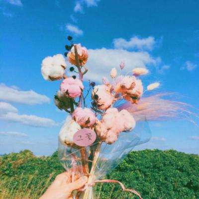 今天买什么特马下载手机版