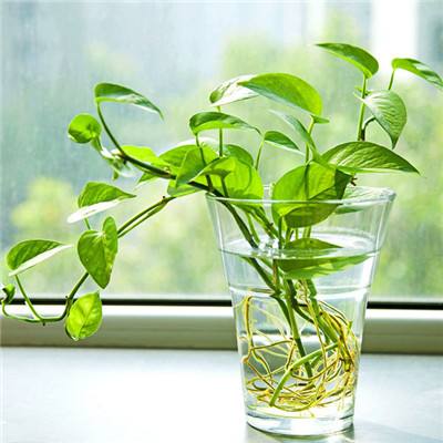 爱体育官方app下载